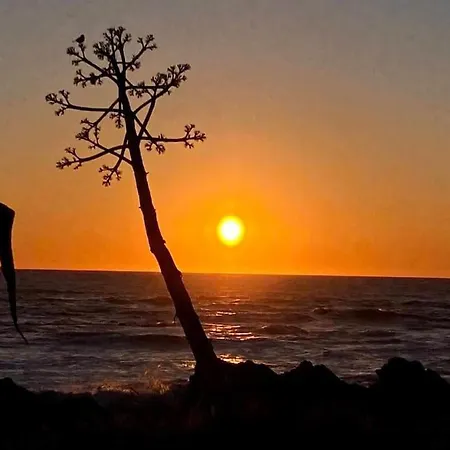 Feriehus Encantadora Moradia T1, Com Piscina E Vista Mar A 500m Da Viana do Castelo